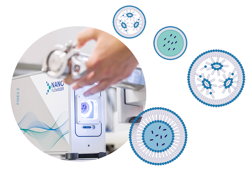 lipid-nanoparticles-size