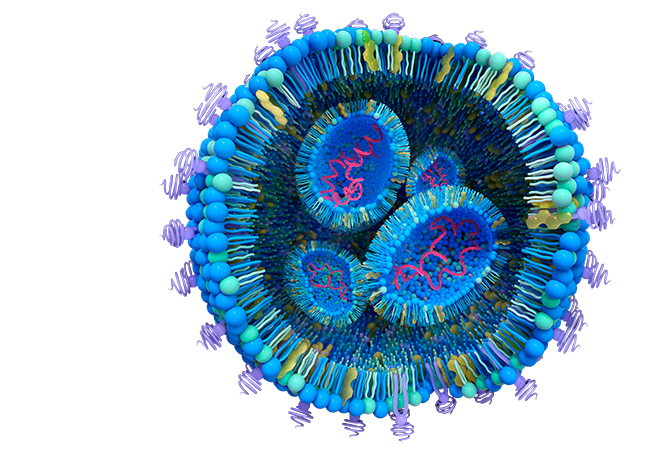 lipid nanoparticles vaccines and gene therapy monitoring